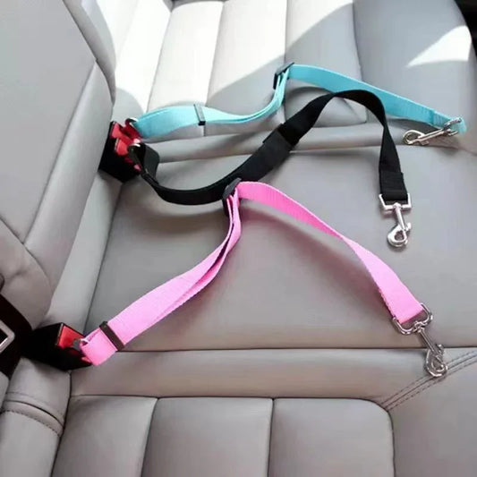 safe dog car